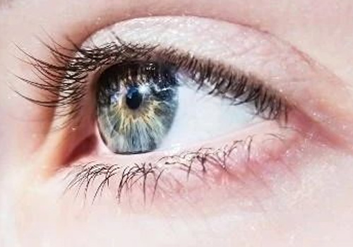 首次发现：眼睛如何排出代谢废物？竟与青光眼也有关！