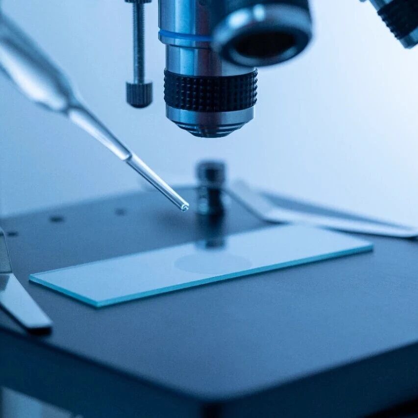 无形的眼健康刺客——研究发现常见环境化学物质与AMD风险存在关联