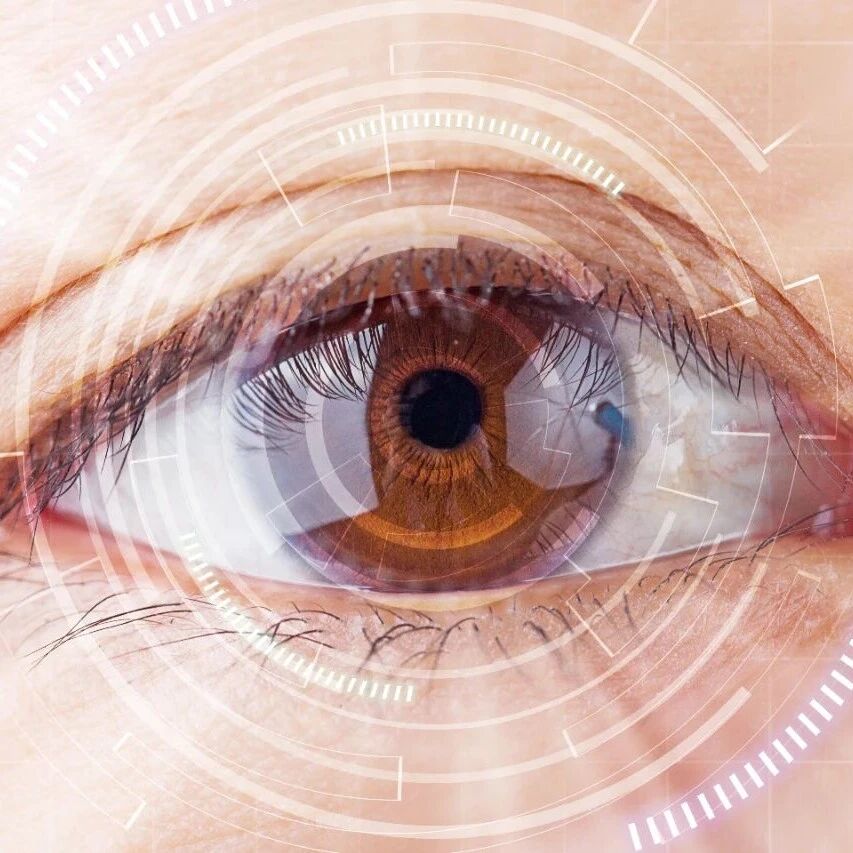 5 coolest waterproof mobile devices