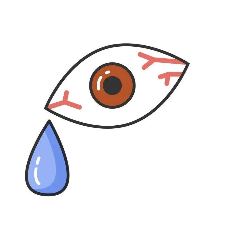 5 coolest waterproof mobile devices